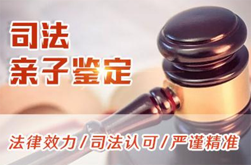 郑州司法DNA鉴定在哪个地方做,郑州司法亲子鉴定资料和流程